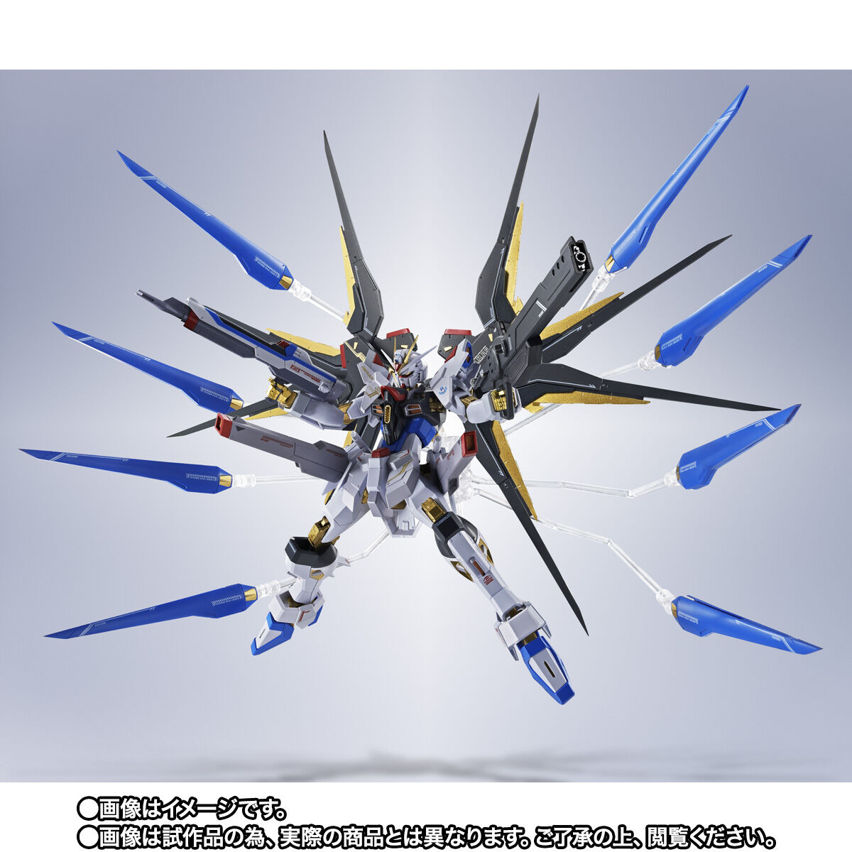 抽選販売】METAL ROBOT魂 ＜SIDE MS＞ ストライクフリーダムガンダム