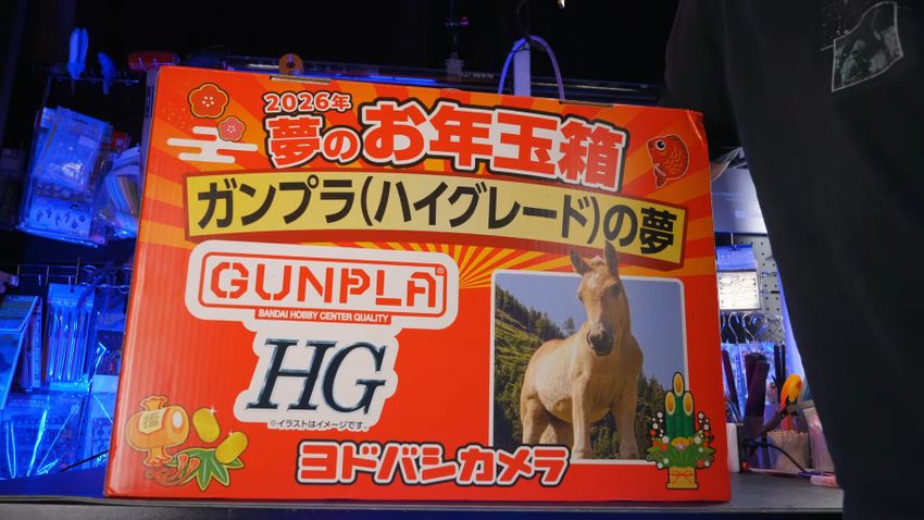 ヨドバシカメラの1万5000円ガンプラ福袋に応募→当選して開けてみると